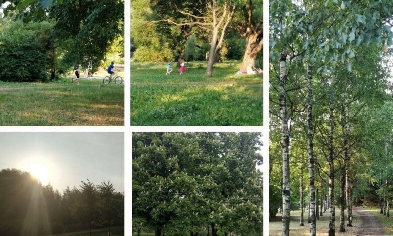 Photo of Новости Санкт-Петербурга: открытие нового парка